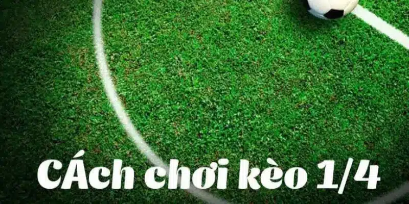 Kinh nghiệm soi kèo chấp ¼ tại MK sport giúp cược đâu thắng đó